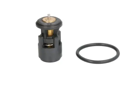Термостат системи охолодження THERMOTEC D2A005TT