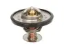 Термостат системи охолодження THERMOTEC D2CA001TT (фото 1)