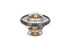 Термостат системи охолодження THERMOTEC D2DE001TT (фото 1)