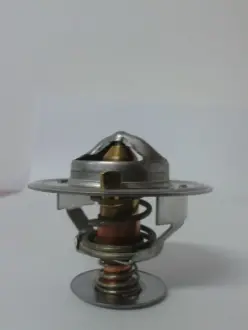 Термостат системи охолодження THERMOTEC D2JD001TT