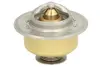 Термостат системи охолодження THERMOTEC D2JD006TT (фото 1)