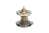Термостат системи охолодження THERMOTEC D2M001TT (фото 1)