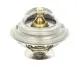 Термостат системи охолодження THERMOTEC D2PE004TT (фото 1)
