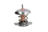 Термостат системи охолодження THERMOTEC D2X005TT (фото 1)