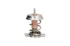 Термостат системи охолодження THERMOTEC D2X008TT (фото 1)
