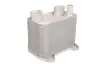 Масляний охолоджувач THERMOTEC D4M010TT (фото 1)