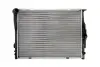 Радіатор двигуна THERMOTEC D7B027TT (фото 1)