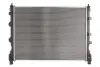 Радіатор двигуна THERMOTEC D7I006TT (фото 1)