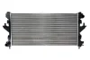 Радіатор двигуна (мкпп, розмір: 51мм) CITROEN JUMPER II FIAT DUCATO PEUGEOT 2008 I, BOXER 1.6-3.0D 04.06- THERMOTEC D7P062TT (фото 2)