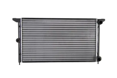 Радіатор двигуна THERMOTEC D7W040TT