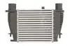 Впускний охолоджувач повітря THERMOTEC DA1003TT (фото 1)