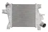 Интеркуллер NISSAN X-TRAIL I 2.2D 06.01-01.13 THERMOTEC DA1011TT (фото 1)