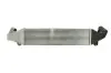 Інтеркулер FORD C-MAX II, FOCUS C-MAX, FOCUS III, MONDEO IV, S-MAX MAZDA 3 1.6D/2.0D 10.03-06.19 THERMOTEC DA3001TT (фото 1)