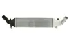 Інтеркулер FORD C-MAX II, FOCUS C-MAX, FOCUS III, MONDEO IV, S-MAX MAZDA 3 1.6D/2.0D 10.03-06.19 THERMOTEC DA3001TT (фото 2)