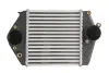 Впускний охолоджувач повітря THERMOTEC DA3002TT (фото 1)