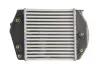 Впускний охолоджувач повітря THERMOTEC DA3002TT (фото 2)