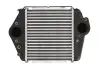 Впускний охолоджувач повітря THERMOTEC DA3004TT (фото 1)