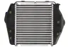 Впускний охолоджувач повітря THERMOTEC DA3004TT (фото 2)