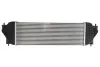 Впускний охолоджувач повітря THERMOTEC DA8001TT (фото 2)