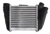 Впускний охолоджувач повітря THERMOTEC DAA002TT (фото 1)