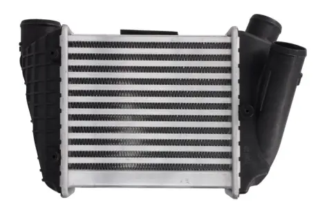 Впускний охолоджувач повітря THERMOTEC DAA002TT