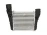 Впускний охолоджувач повітря THERMOTEC DAA003TT (фото 1)