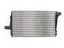 Впускний охолоджувач повітря THERMOTEC DAA004TT (фото 1)