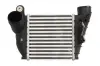 Впускний охолоджувач повітря THERMOTEC DAA008TT (фото 1)
