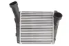 Впускний охолоджувач повітря THERMOTEC DAA014TT (фото 1)