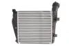Впускний охолоджувач повітря THERMOTEC DAA014TT (фото 2)