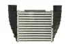 Впускний охолоджувач повітря THERMOTEC DAA016TT (фото 1)