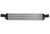 Впускний охолоджувач повітря THERMOTEC DAA019TT (фото 1)