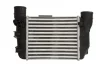 Інтеркулер AUDI A4 B6, A4 B7 SEAT EXEO, EXEO ST 1.8 11.00-05.10 THERMOTEC DAA025TT (фото 1)