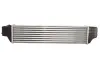 Впускний охолоджувач повітря THERMOTEC DAB002TT (фото 2)