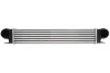 Впускний охолоджувач повітря THERMOTEC DAB006TT (фото 1)
