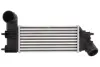 Впускний охолоджувач повітря THERMOTEC DAC005TT (фото 1)
