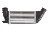 Впускний охолоджувач повітря THERMOTEC DAC006TT (фото 1)