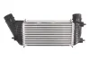 Впускний охолоджувач повітря THERMOTEC DAC006TT (фото 2)