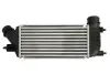 Впускний охолоджувач повітря THERMOTEC DAC011TT (фото 2)