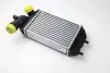 Впускний охолоджувач повітря THERMOTEC DAF001TT (фото 1)