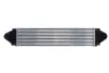 Впускний охолоджувач повітря THERMOTEC DAI001TT (фото 1)