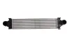 Впускний охолоджувач повітря THERMOTEC DAI002TT (фото 1)