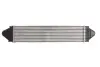 Впускний охолоджувач повітря THERMOTEC DAI002TT (фото 2)