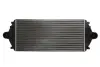 Впускний охолоджувач повітря THERMOTEC DAP001TT (фото 1)