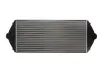 Впускний охолоджувач повітря THERMOTEC DAP001TT (фото 2)