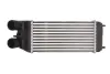 Впускний охолоджувач повітря THERMOTEC DAP003TT (фото 1)