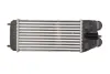 Впускний охолоджувач повітря THERMOTEC DAP003TT (фото 2)