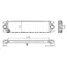 Інтеркулер NISSAN INTERSTAR OPEL MOVANO A RENAULT MASTER II 1.9D-3.0D 12.97- THERMOTEC DAR002TT (фото 3)
