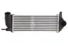 Впускний охолоджувач повітря THERMOTEC DAR006TT (фото 1)
