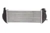 Впускний охолоджувач повітря THERMOTEC DAR006TT (фото 2)